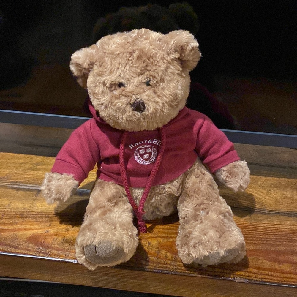 Harvard Stuffed Teddy Bear